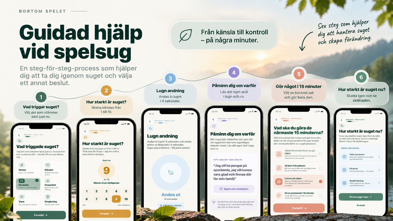 Sex steg i Bortom spelets guidade hjälp vid spelsug